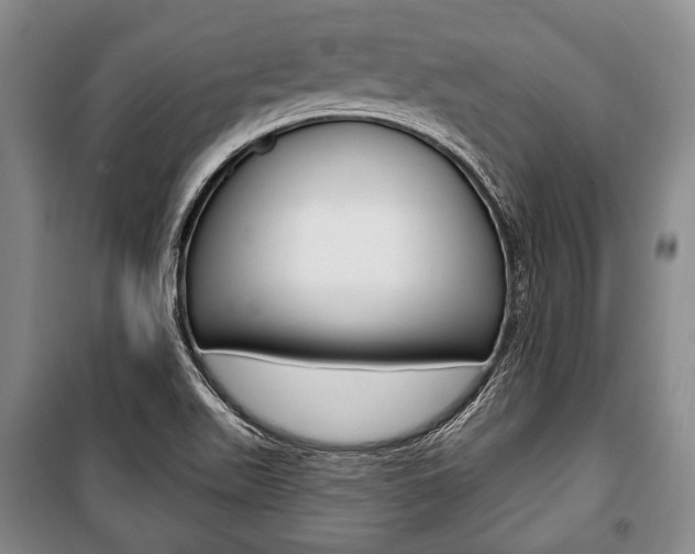 X0000101141511200806270724