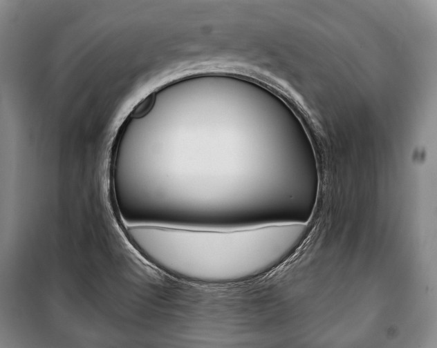 X0000101141512200806270724