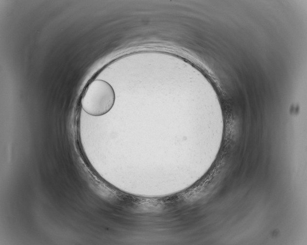 X0000101141514200806270724