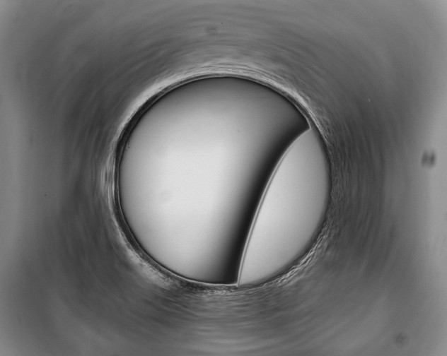 X0000101141515200806270724