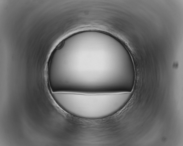 X0000101141516200806270724