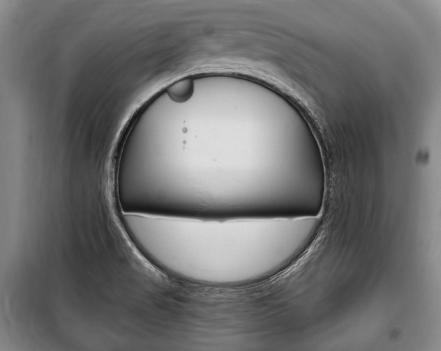 X0000101141517200806270724