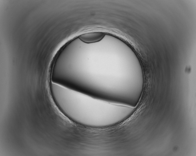 X0000101141518200806270724