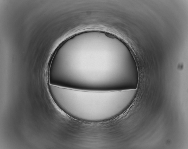 X0000101141519200806270724