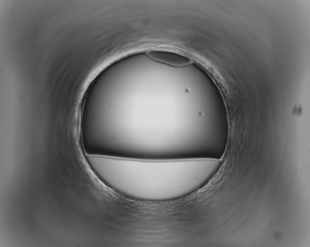 X0000101141520200806270724