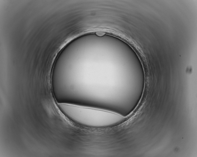 X0000101141521200806270724