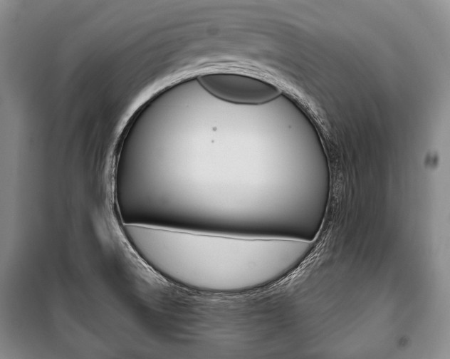 X0000101141522200806270724
