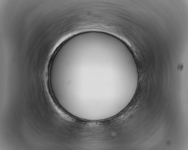 X0000101141523200806270724
