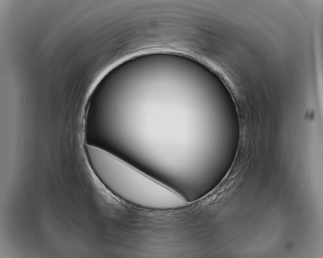 X0000101141524200806270724
