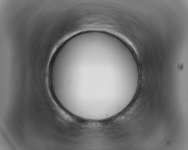 X0000101141525200806270724