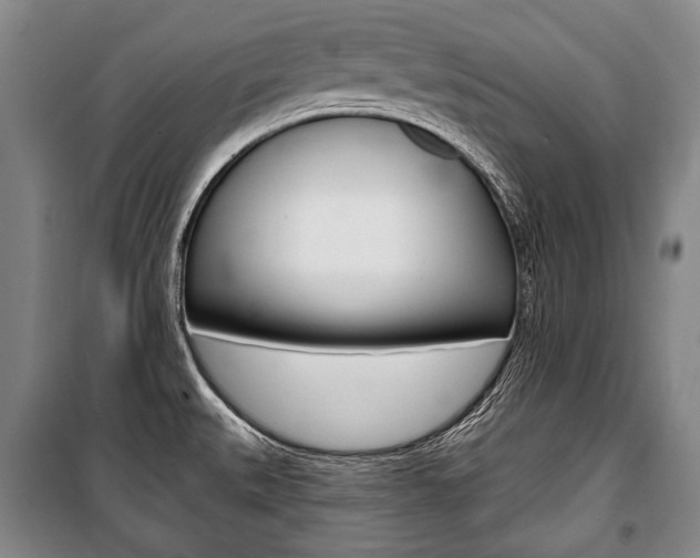 X0000101141527200806270724