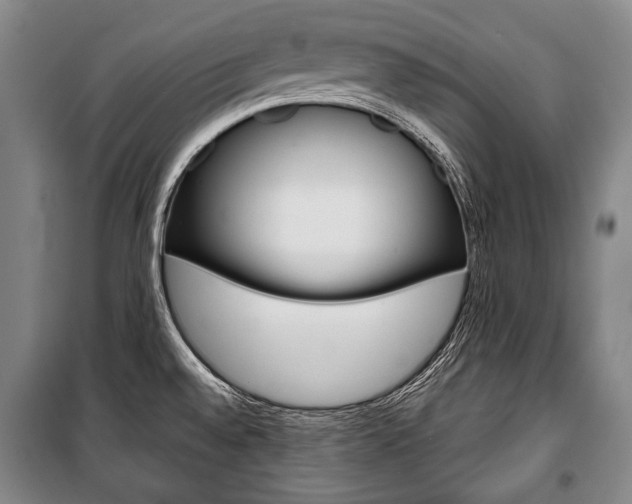 X0000101141528200806270724