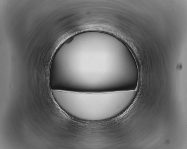 X0000101141529200806270724