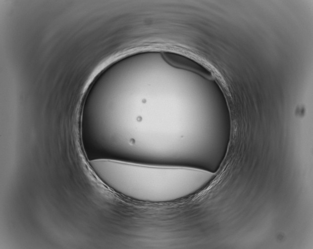 X0000101141530200806270724