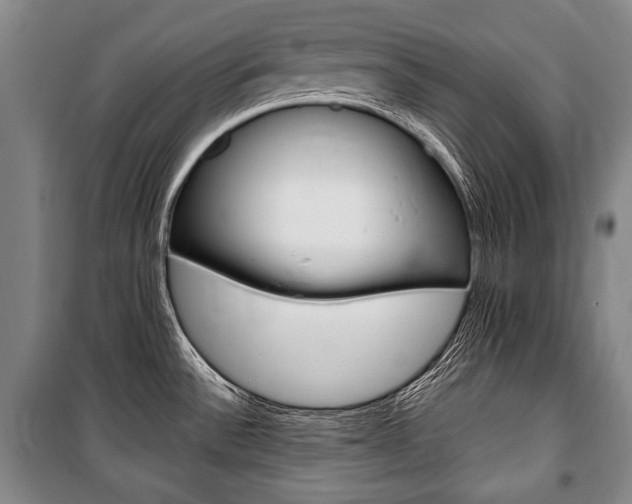 X0000101141532200806270724