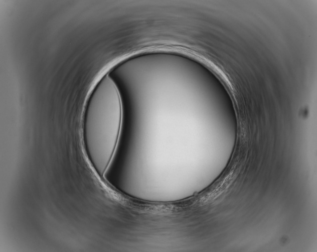 X0000101141533200806270724