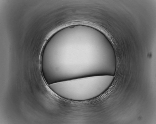 X0000101141535200806270724