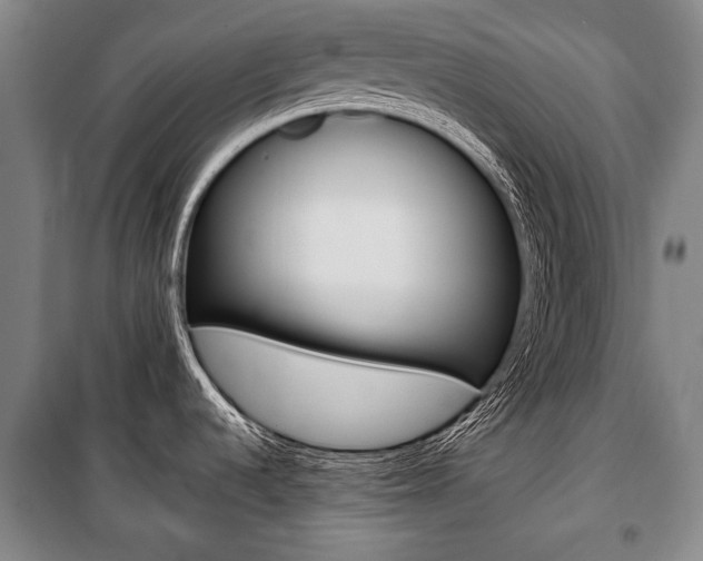 X0000101141536200806270724