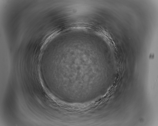 X0000101140001200806270931