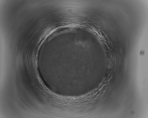 X0000101140002200806270931