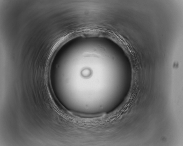 X0000101140003200806270931