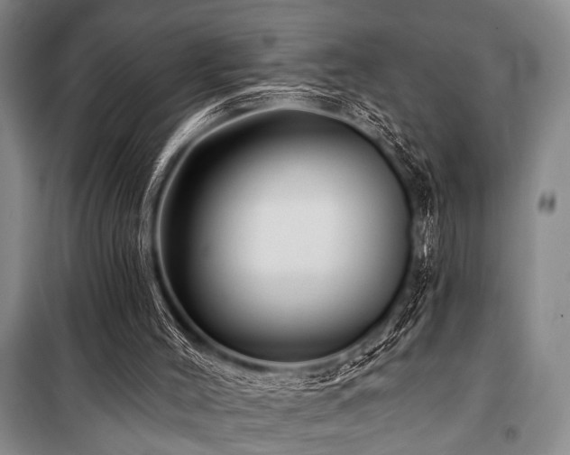 X0000101140004200806270931