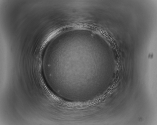 X0000101140005200806270931