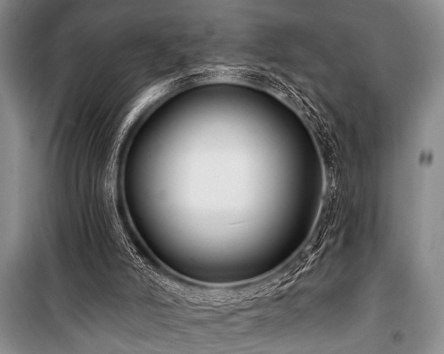 X0000101140006200806270931