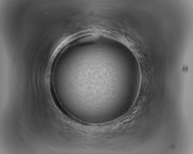 X0000101140007200806270931