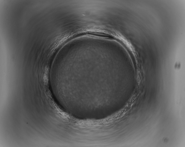 X0000101140009200806270931