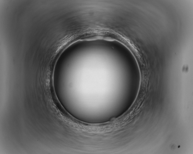 X0000101140010200806270931