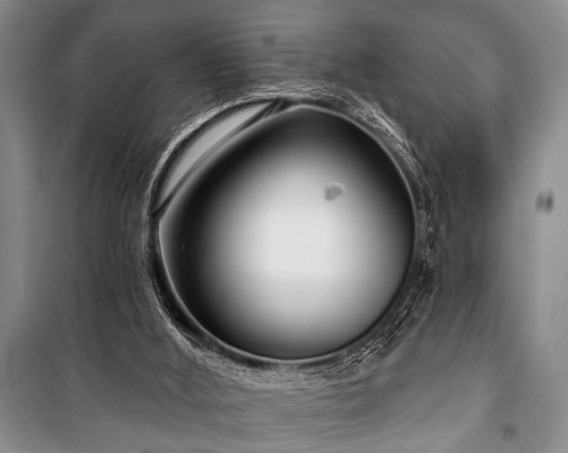 X0000101140012200806270931