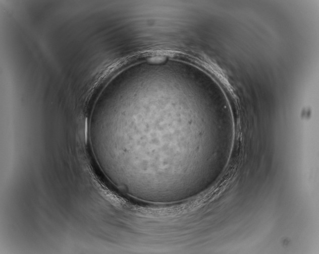 X0000101140013200806270931