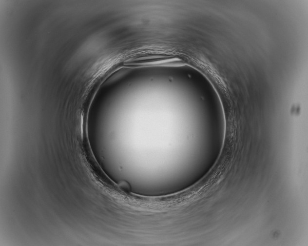 X0000101140014200806270930