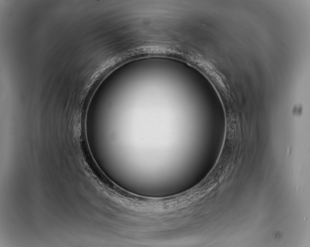 X0000101140015200806270930