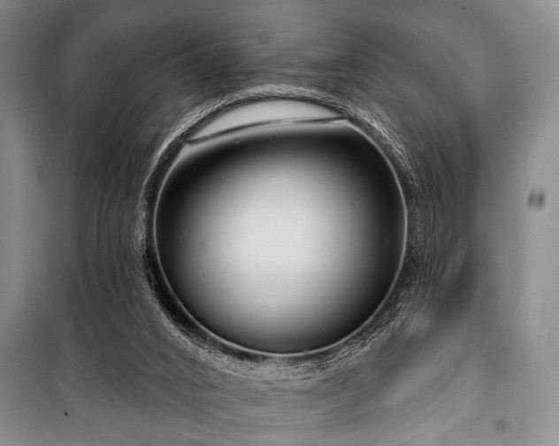 X0000101140016200806270930