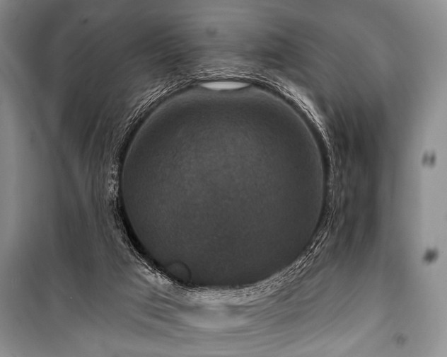 X0000101140017200806270930