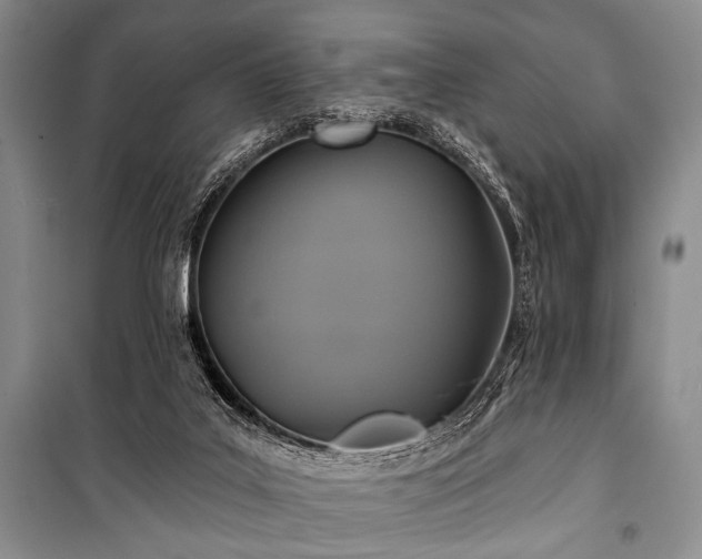 X0000101140019200806270930