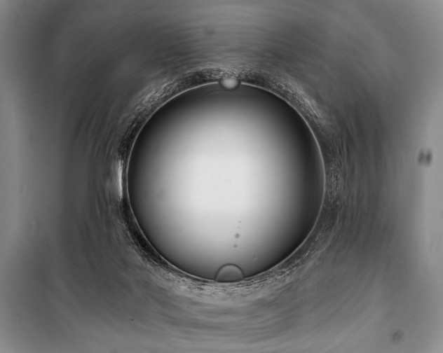 X0000101140022200806270930