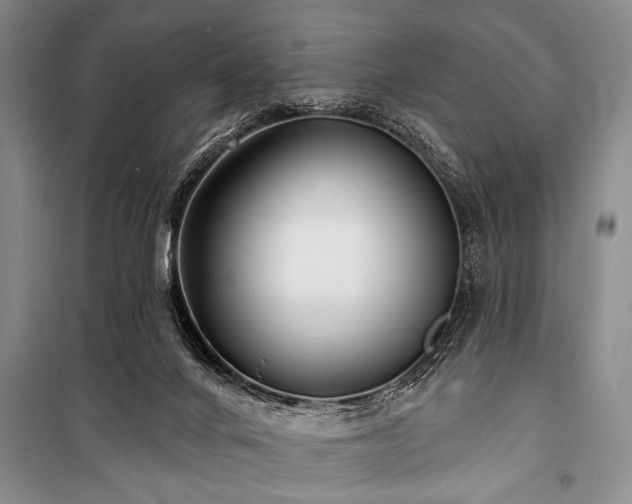 X0000101140024200806270930