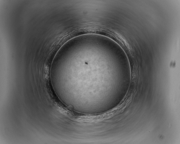 X0000101140025200806270930