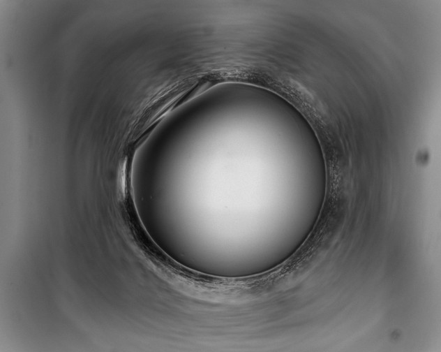 X0000101140028200806270930