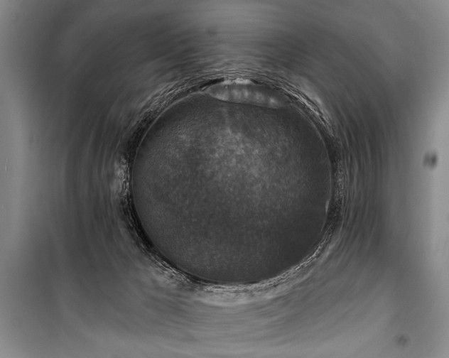 X0000101140029200806270930