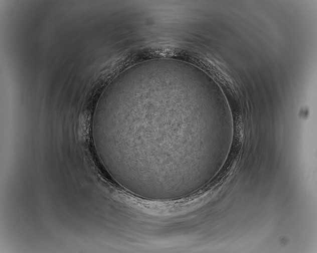 X0000101140030200806270930