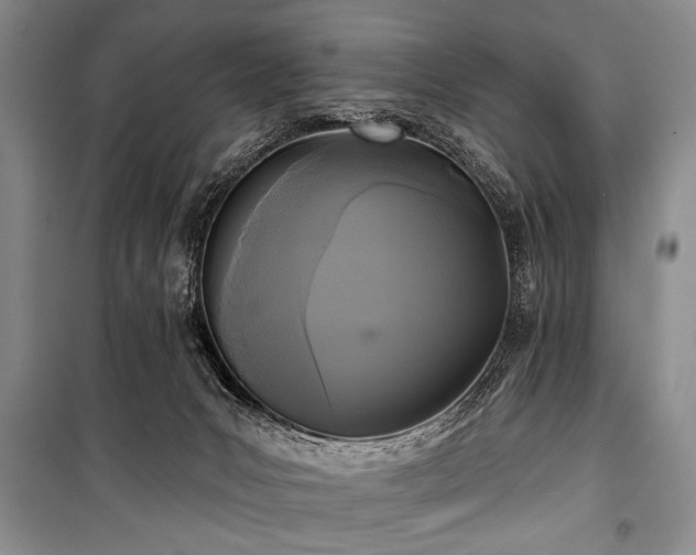 X0000101140031200806270930