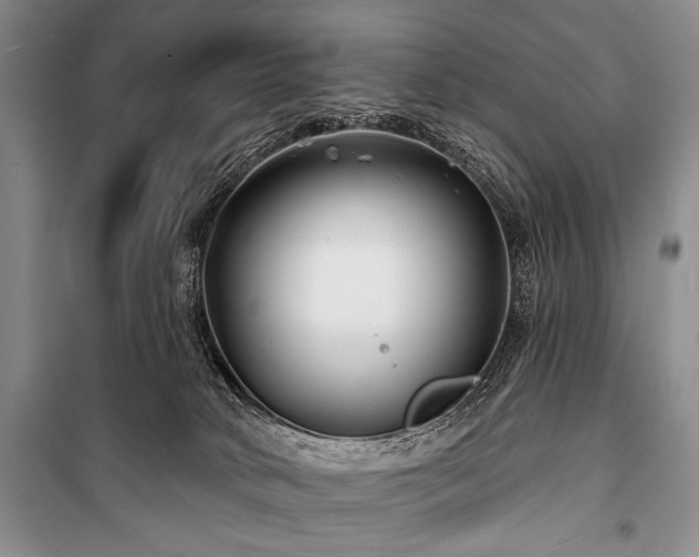 X0000101140034200806270930