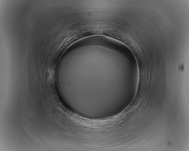 X0000101140035200806270930