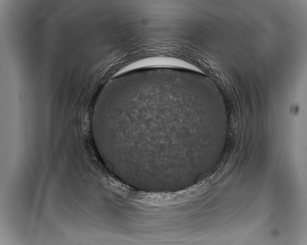 X0000101140037200806270930