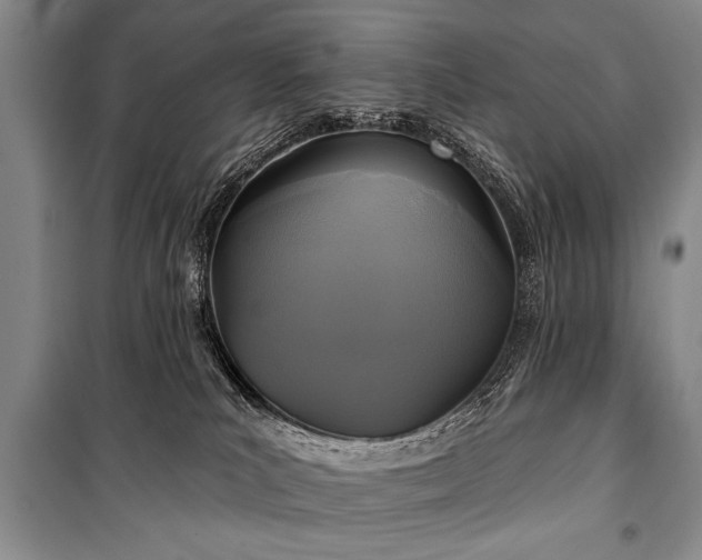 X0000101140039200806270930