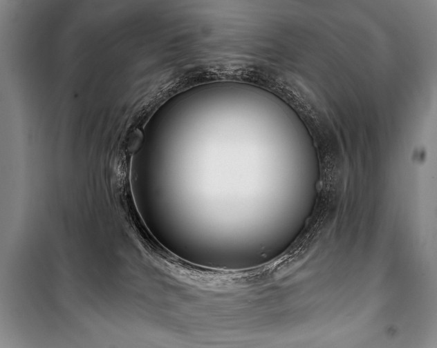 X0000101140040200806270930